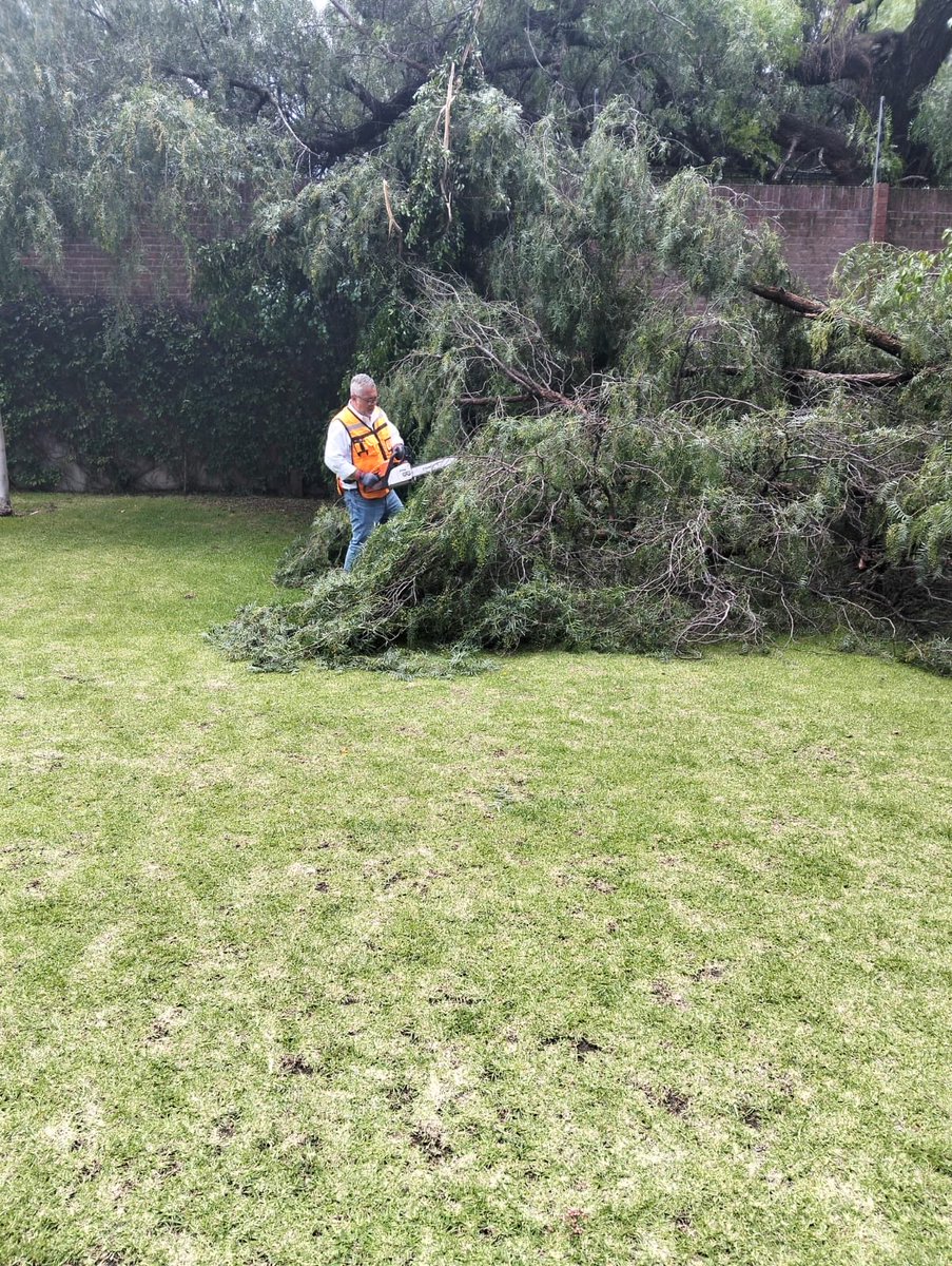 ClementeGomezM's tweet photo. Ya se encuentra personal en el punto realizando trabajos para el retiro del árbol 🌳 caído, te reiteramos el compromiso del gobierno de la ciudad para salvaguardar la seguridad de las familias poblanas. https://t.co/DhsLimJwvl