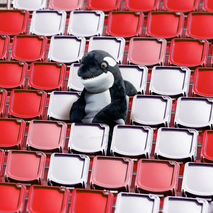 A Southern Resident Killer Whale siting in a stadium seat with some of the seats surrounding it being white and seats farther away being red.