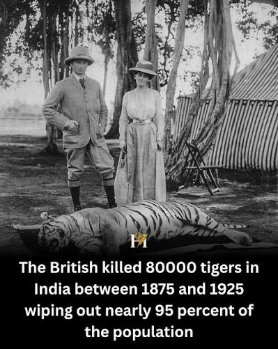 gauravsng17's tweet photo. @pubity Whites contribution to Tigers of India. https://t.co/92KLHitV5b