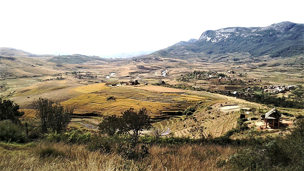 ICCROM's tweet photo. ICCROM and @ALIPHFoundation Launch ASILI to Advance Heritage for Climate Action in #Africa. 

ASILI seeks to demonstrate how heritage, #LocalKnowledge, and community-led action can help address #ClimateChange, reduce disaster risks, strengthen #SocialCohesion, and support sustainable #Livelihoods.

Learn more: https://t.co/WUCJTY3DRS