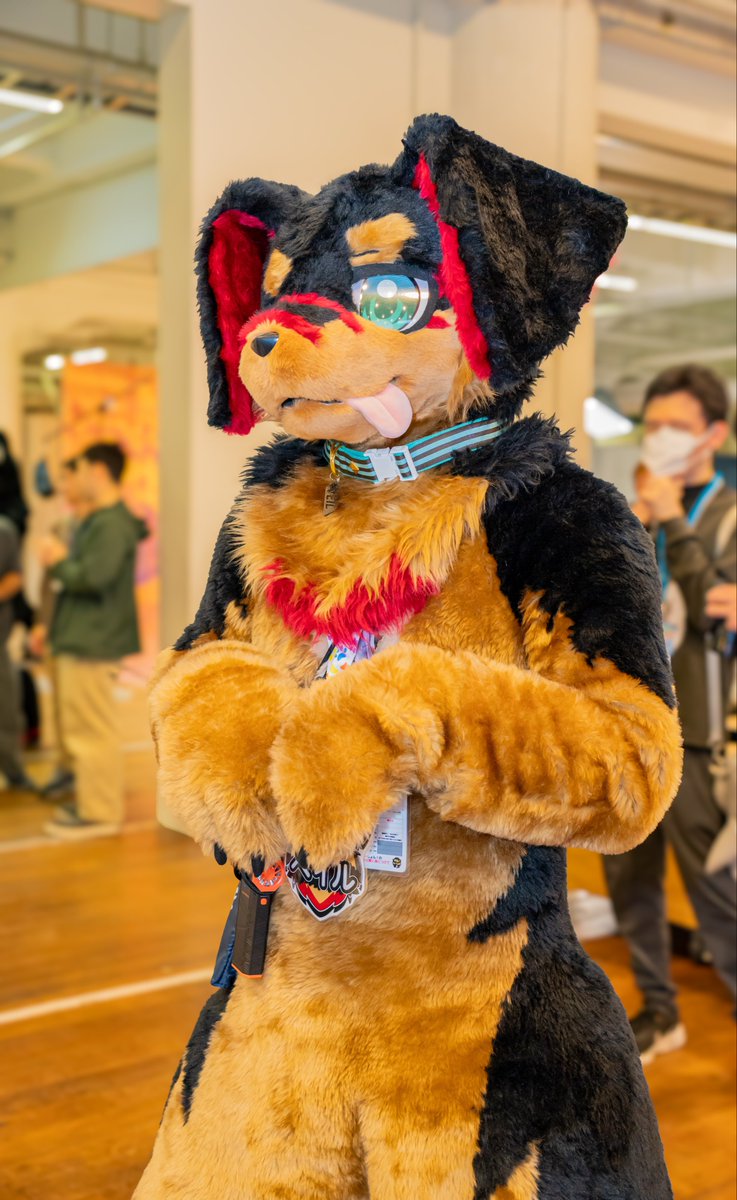 kann_furVeil's tweet photo. 待機ポーズ🐶
#FursuitEveryday 
#ケモすて5 https://t.co/DkG3X3jii1