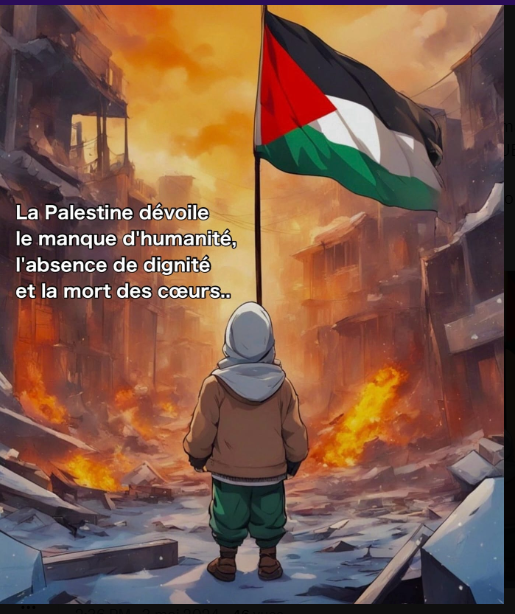 LILIPalestine's tweet photo. @priscathevenot @GabrielAttal Jugements de la CIJ (OBLIGATOIRE) du 19/07/24 et du 22/10/25 #ACTNOW #StopGenocideColonial #ChildrenAreNotTarget #CiviliansAreNotTarget #JusticeForPalestine #SanctionsIsrael #End_Impunity #LigneRouge #GazaGenocide #EndOccupation #EndApartheid #EndGenocide #EndGenocideComplicity https://t.co/yfbToSFZQg