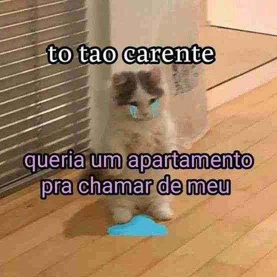 odeiootaco's tweet photo. https://t.co/2hEBRTxSrw