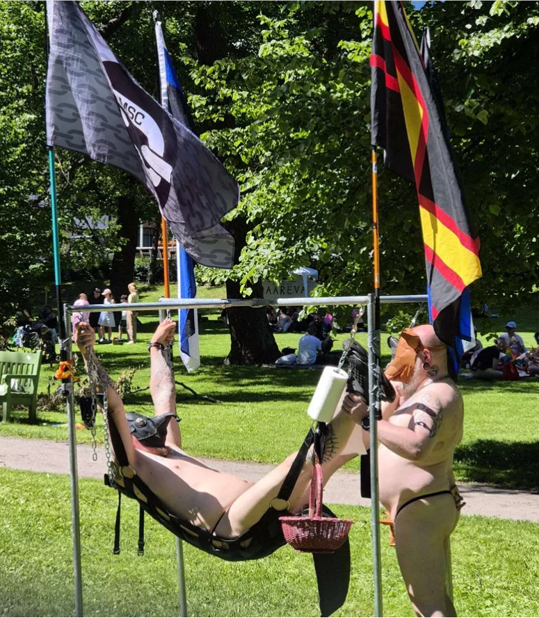 MikkoNyyssola's tweet photo. Yhdistys, joka pystytti seksikeinun julkiseen Helsinkiläispuistoon sanoo, että paikan päällä ei kuulunut minkäänlaista paheksuntaa.

Joten eipä siinä kai sitten mitään! https://t.co/OWQRbixDUX