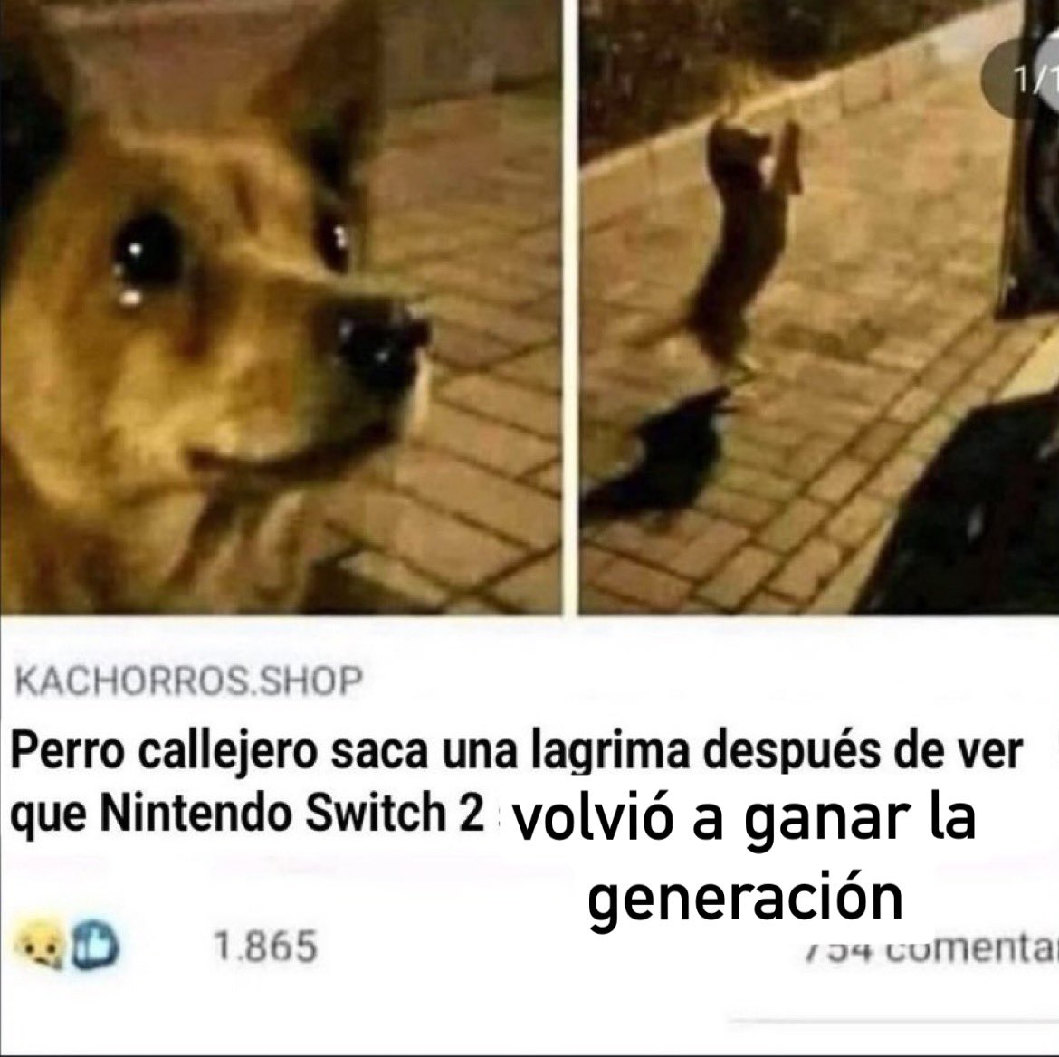 LIL VATOLUCA CCC CAMPEÃO tweet media