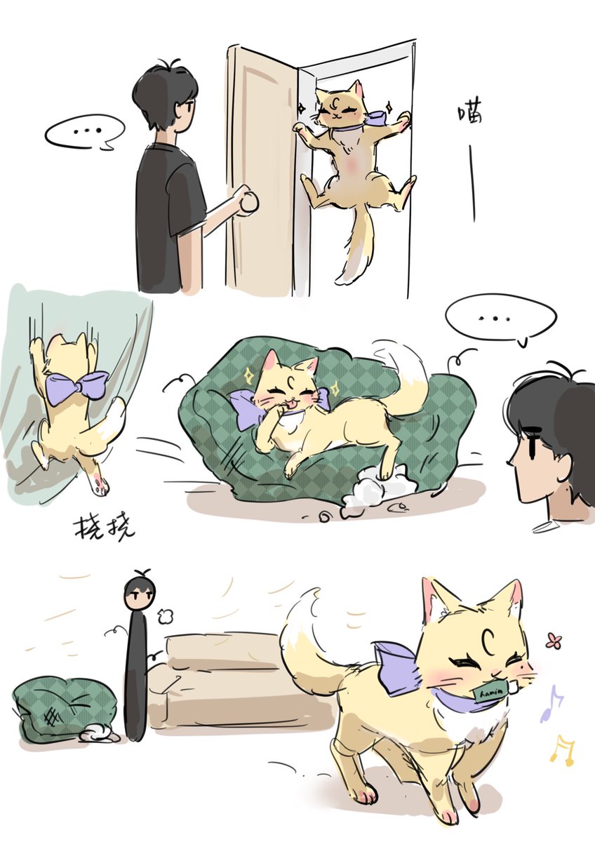 Herzern6's tweet photo. #함놔 🖤🐈 https://t.co/BvS85uH3iK