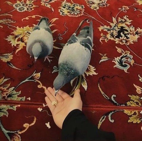 omhasna_313's tweet photo. لا تجعل قلبك مثل النهر يشرب منه من يشاء بل اجعل قلبك مثل البحر لا يشرب منه إلا الغارق فيه . !!!
#مساء_الخير https://t.co/MMiAx7sExi