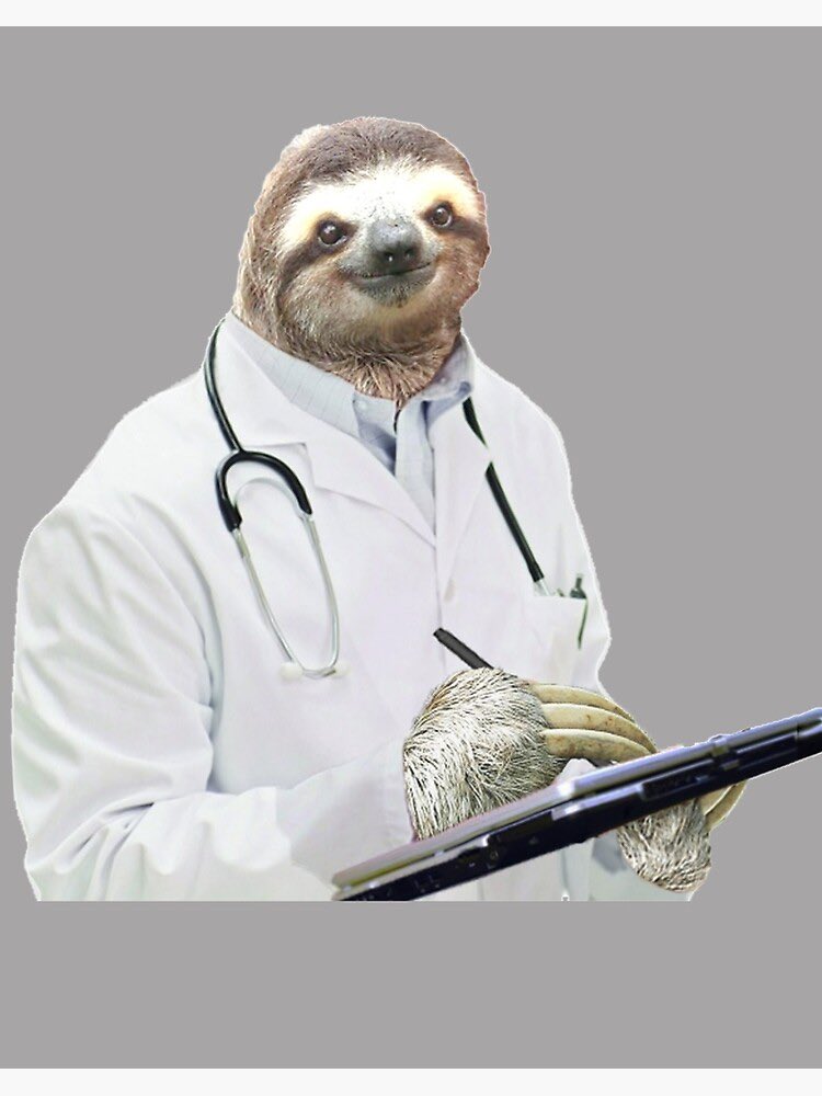Faultierchen's tweet photo. @Krawallbrause69 @LaraJennyCrofti Genau richtig erkannt Herr Kollege 👍 https://t.co/KKJxLLRFRm