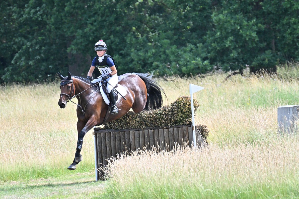 BEventing's tweet photo. 🌟 The Howden Way Young Horse winners crowned at Farley Hall 🌟

👉 Read the full story and find out more about The Howden Way Young Horse programme and the stars of the future: https://t.co/ED971WlNVv 

📸 Image courtesy of Matt Nuttall Photography.

#YoungHorse #TheHowdenWay https://t.co/P6ypi3bM8z