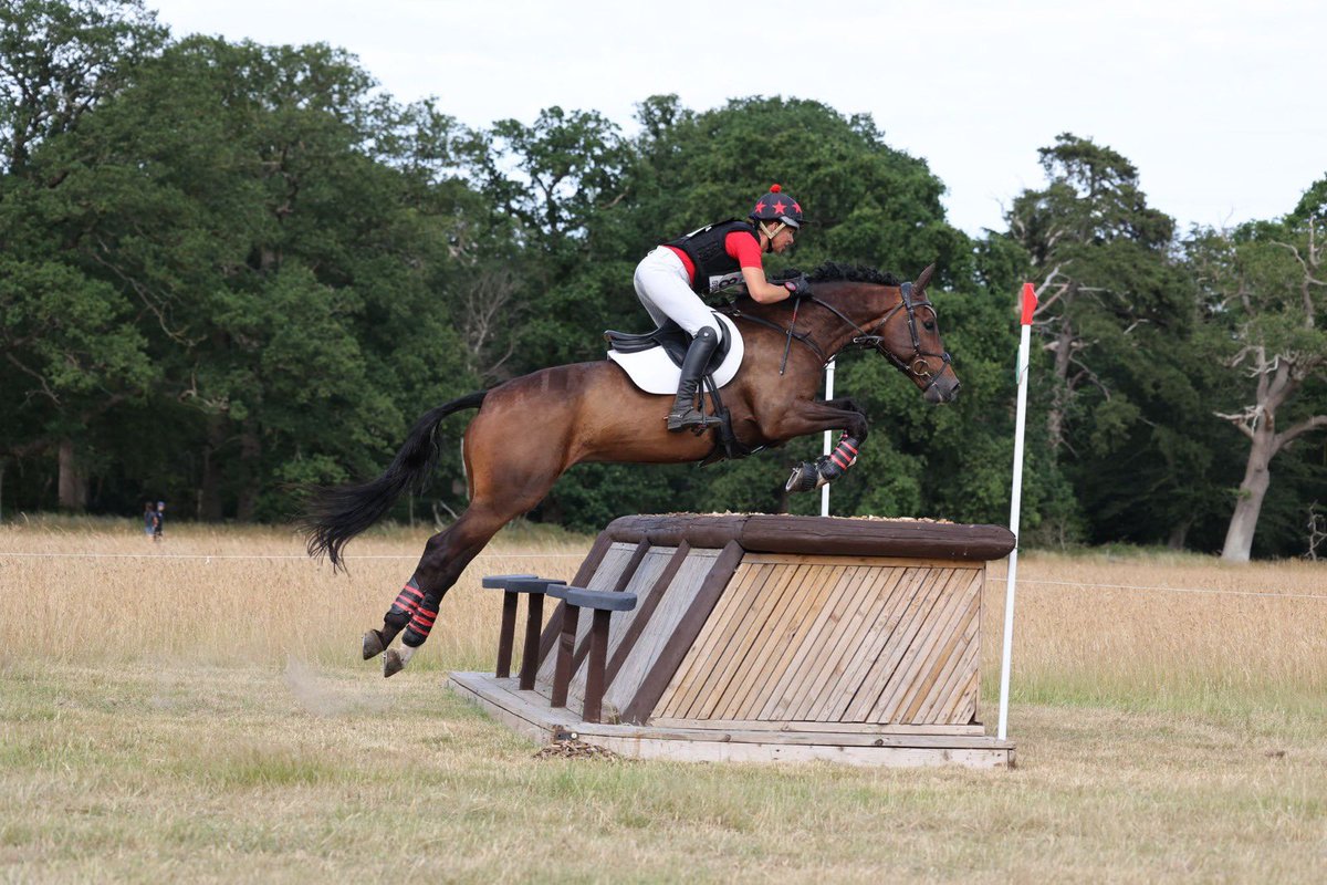 BEventing's tweet photo. 🌟 The Howden Way Young Horse winners crowned at Farley Hall 🌟

👉 Read the full story and find out more about The Howden Way Young Horse programme and the stars of the future: https://t.co/ED971WlNVv 

📸 Image courtesy of Matt Nuttall Photography.

#YoungHorse #TheHowdenWay https://t.co/P6ypi3bM8z