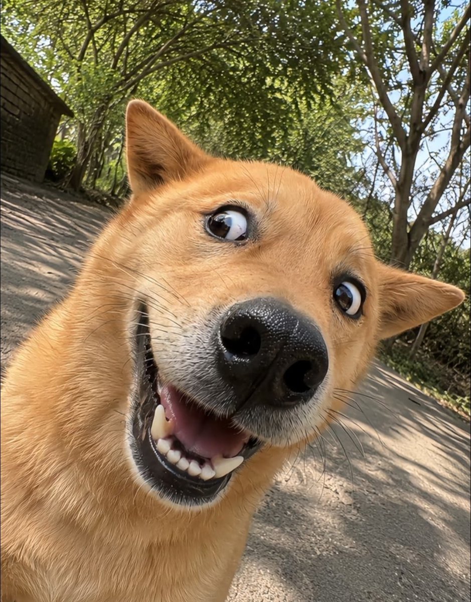 sosp3chos4's tweet photo. Buenos días ✨🥰 https://t.co/enzcCoLuu6