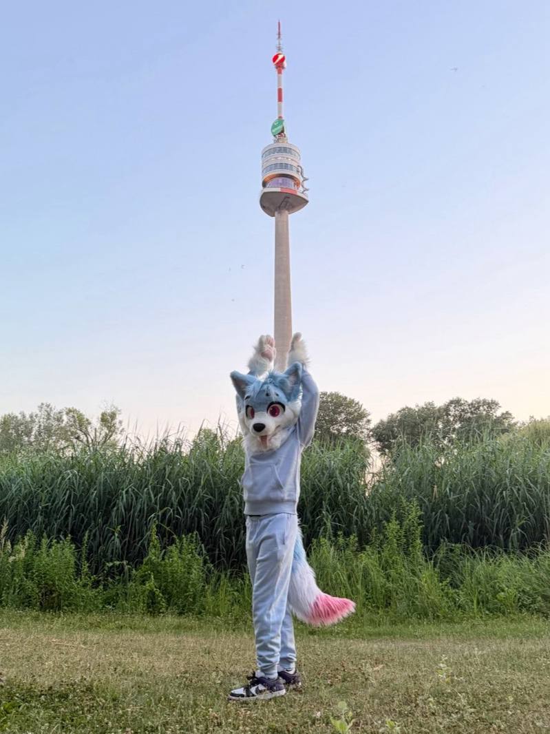 AlexUmka_'s tweet photo. Fursuiting on my birthday :3 https://t.co/OyUZ7i42r2