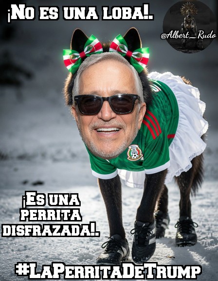 Albert_Rudo's tweet photo. 🚨🐶🐩"Que dice @RicardoBSalinas, que no es #LaPerritaDeTrump, que es una Lobita de Trump". ¡Que no se haga wey, todo el mundo sabe que es #LaPerritaDeTrump!.🚨🐶🐩🤣🤣🤣

#LaPerraDeTrump. https://t.co/pPCdK7unvn