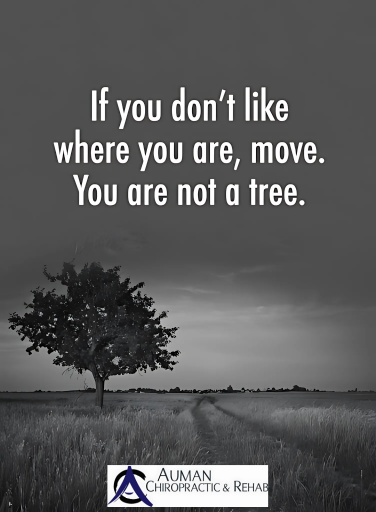 aumandoc's tweet photo. This Month’s Topic: Headaches
Headaches don’t have to stop you from enjoying life!
https://t.co/RjJY5CA0hw
Now with Saturday morning hours available.
402-484-7300
#LNK #ChiropracticCare #WellnessJourney https://t.co/pElnSZk6Lv