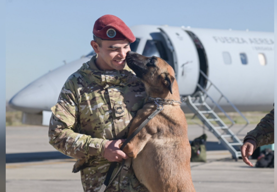 TraductorTeAma's tweet photo. 🐶🇦🇷🇻🇪NO LOS AMAMOS LO SUFICIENTE| Este perrito del Ejército Argentino está en Venezuela desde hace 3 días.
Hoy, gracias a él, encontraron a dos nenes con vida.

Grande BART.
