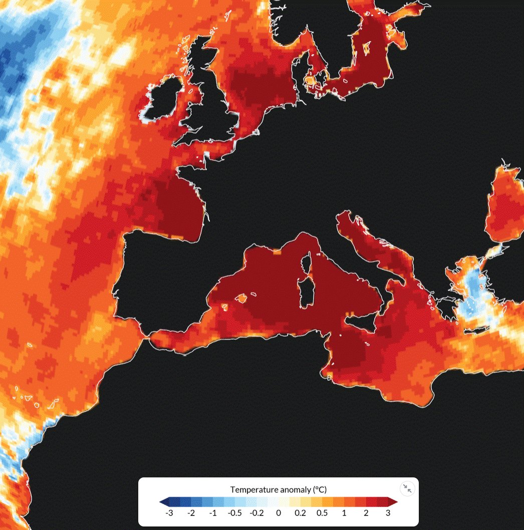 AnthoGrillon's tweet photo. 🥵🌊 Outre la succession de #canicule sur le continent, une autre forme de canicule, cette fois marine, se développe en silence dans nos océans. 
Une eau à 25 degrés dans l'Atlantique, et 28 degrés en Méditerranée (+5 à +8°C/ normale). Oui c'est hélas possible en juin 2026... https://t.co/m1GgXp9wvJ