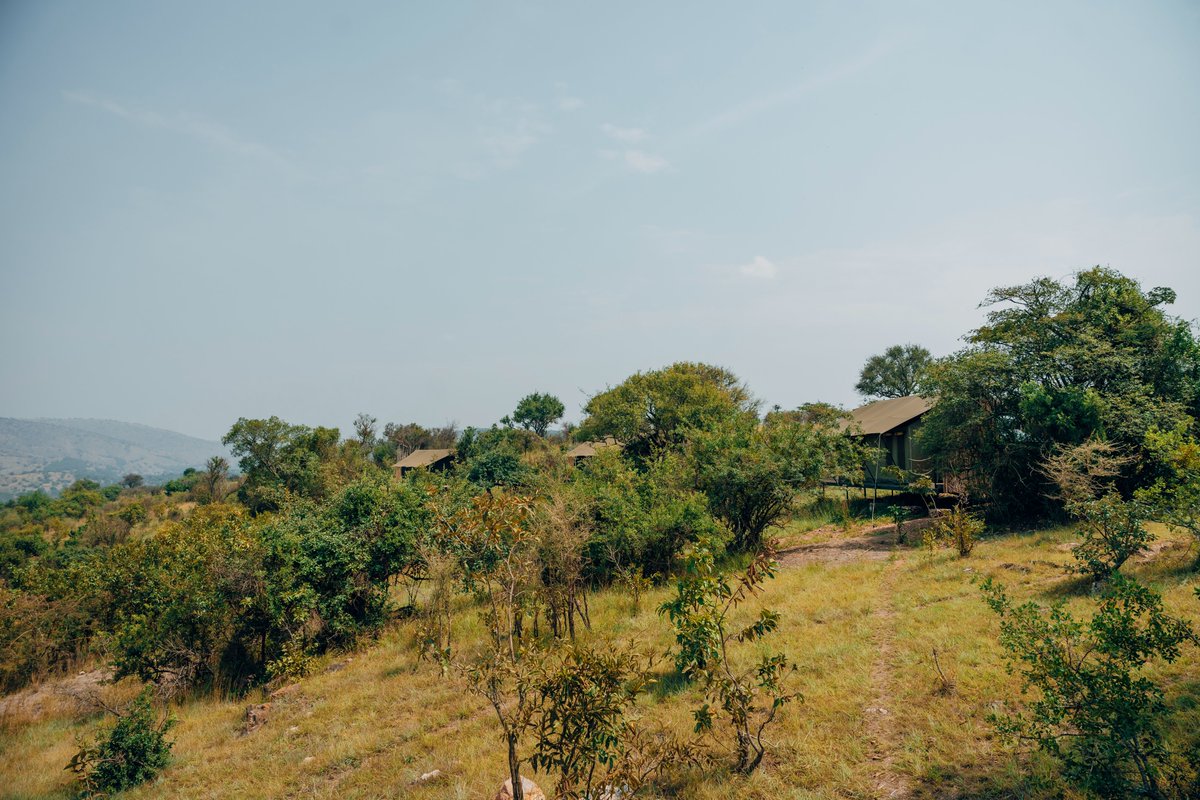 AkageraPark's tweet photo. An outdoor shower overlooking the bush, fresh air, endless views, and the sounds of nature all around you at Karenge Bush Camp.

Shower under the open sky and immerse yourself in the wilderness, enjoying uninterrupted views of the bush stretching before you- a refreshing safari experience that keeps you connected to nature long after the game drive ends.

#KarengeBushCamp #VisitRwanda #Akagera #SafariLife

📷: @Gael_RVW (1), @kelemaa_ (2,&3)