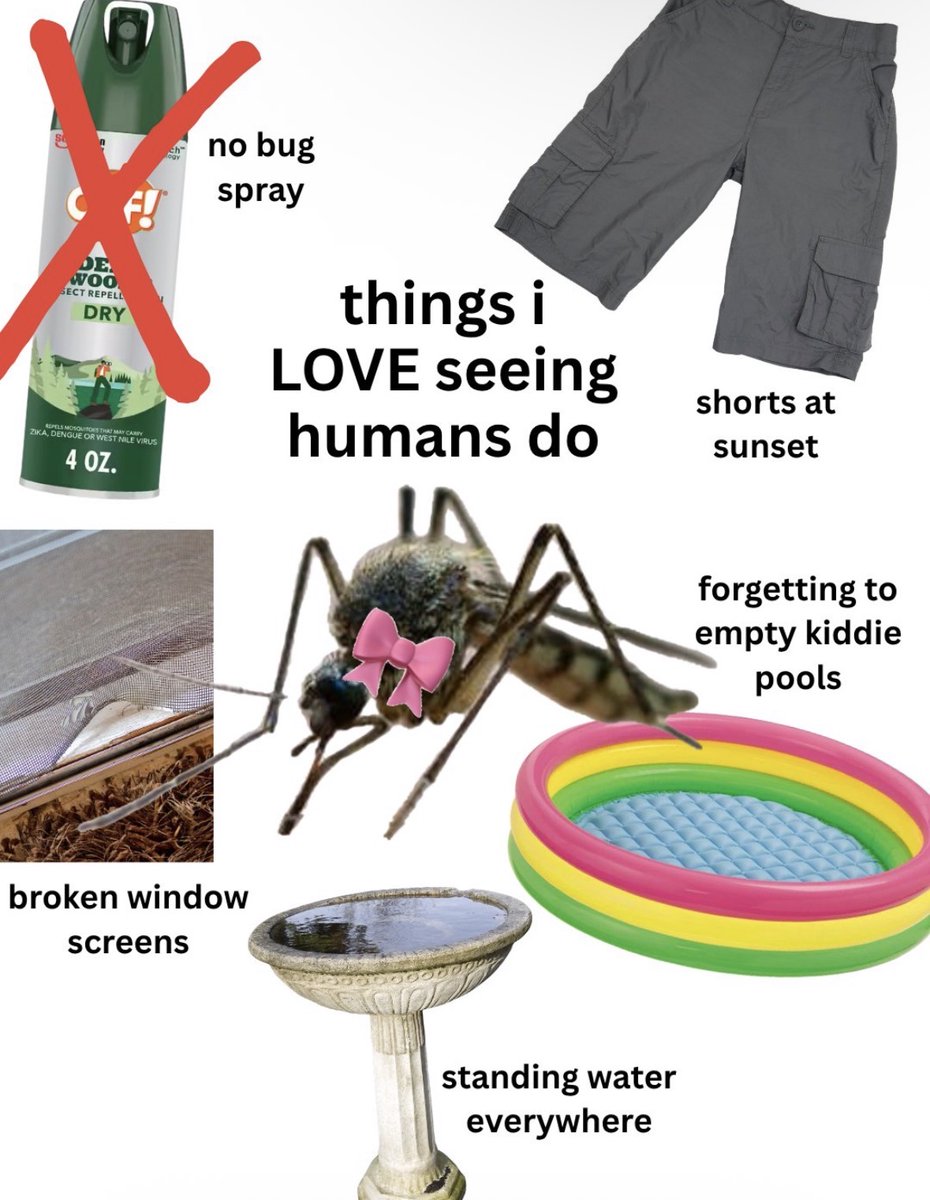 RespectfulMemes's tweet photo. https://t.co/Wd0upxHMj0