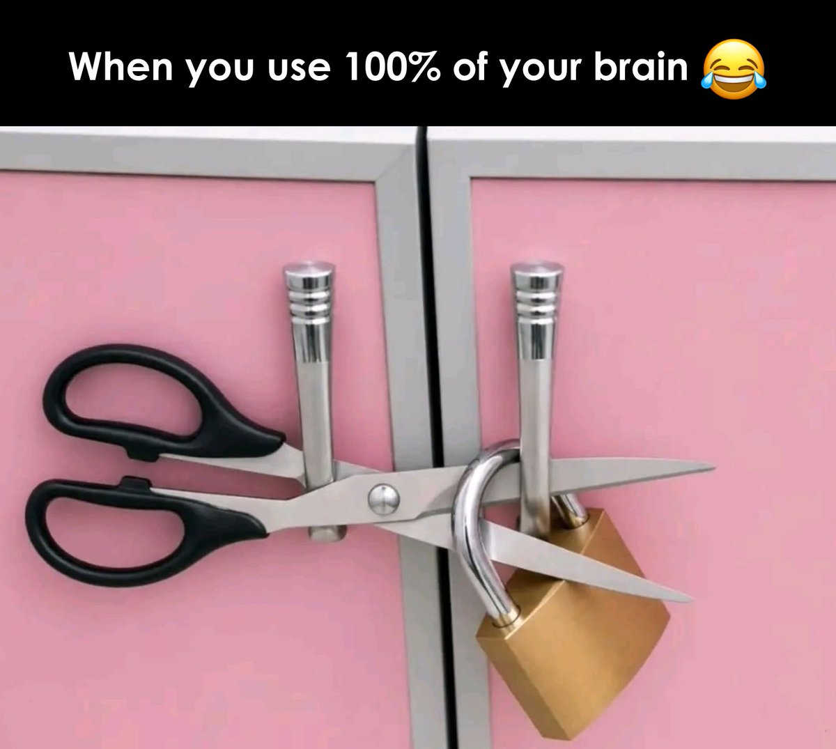 NewVibesaa's tweet photo. 100% use of brain https://t.co/sBmPOQZXjh
