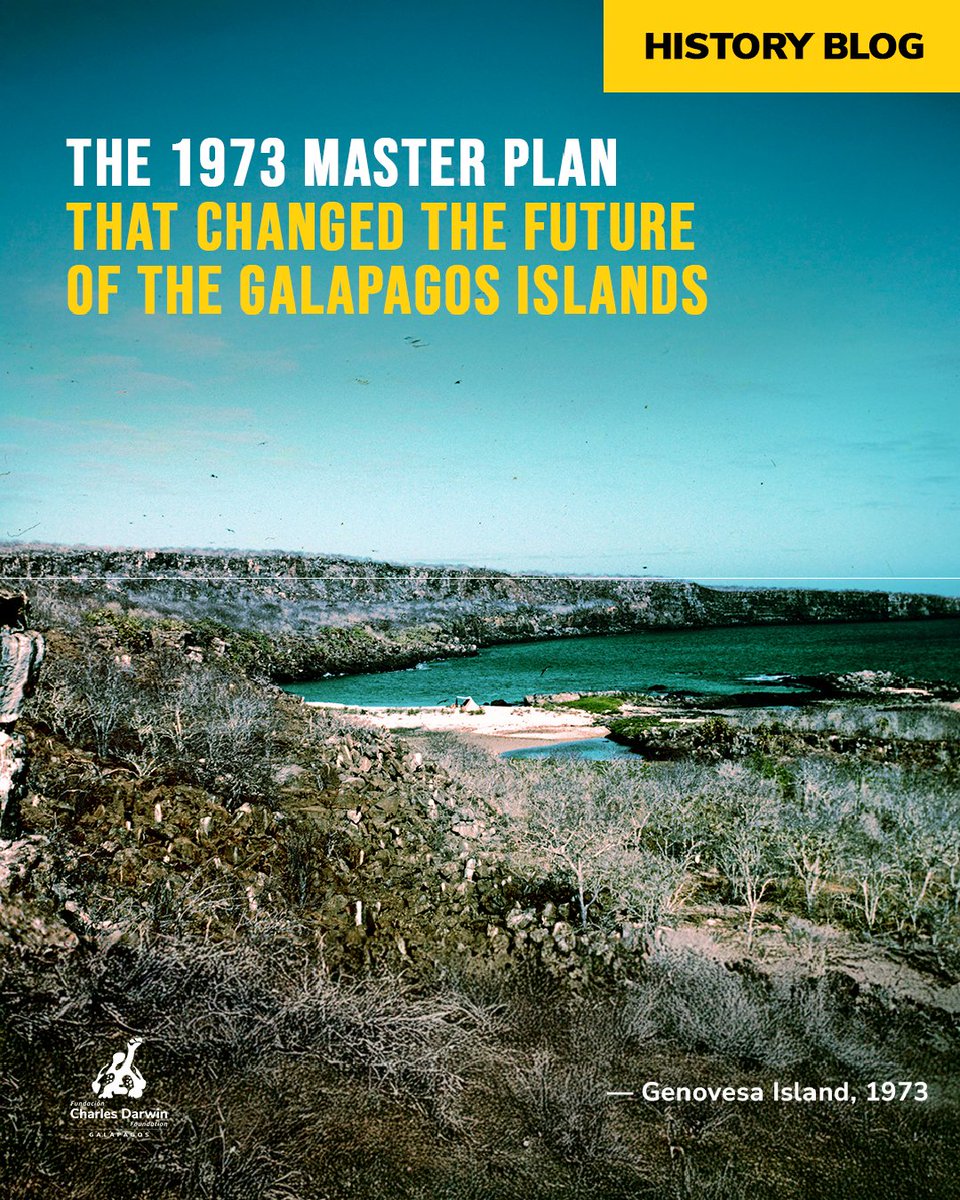DarwinFound's tweet photo. #HistoryBlog | 📜🌿 In 1973, a Master Plan transformed how Galápagos would be protected, introducing science-based conservation, zoning, and long-term planning. 🌎🔬👇 Read the story https://t.co/wMXmXgif8y