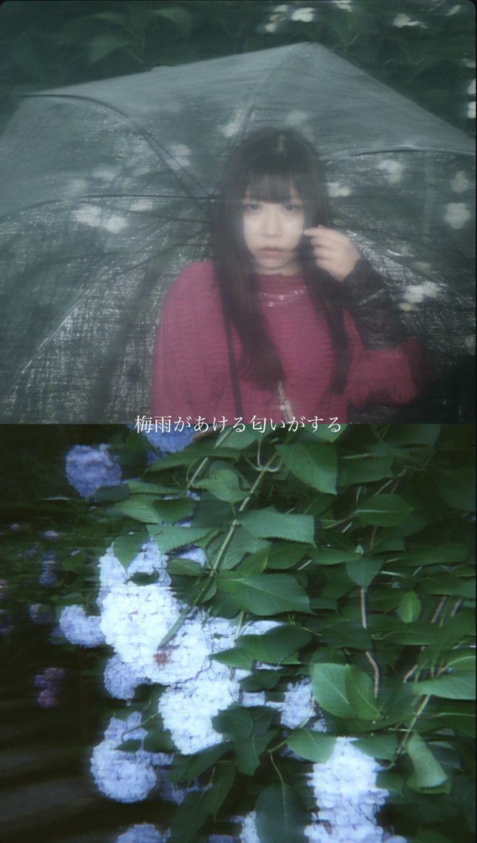 __coco35 tweet picture