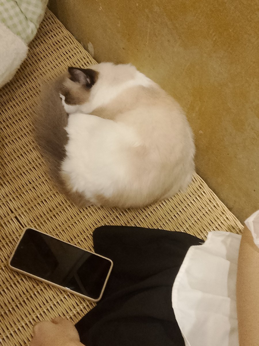 mercury1007_'s tweet photo. I've raised so many animals, my house has become a zoo 😔 https://t.co/iIDRmC0BNL