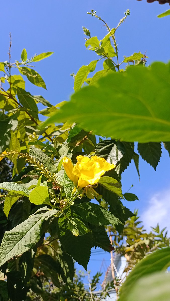 HarshithaP84560's tweet photo. https://t.co/VEQr73UEpI