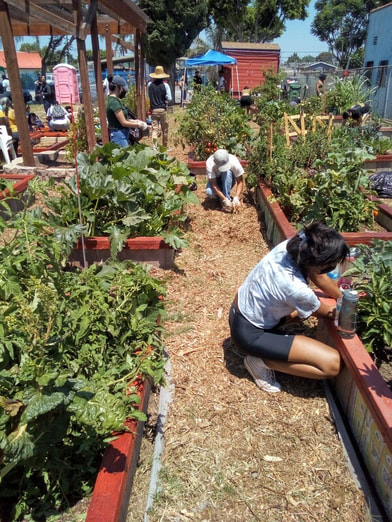 NataliePace's tweet photo. Join me live in Santa Monica, CA or stream online at https://t.co/5Qu0KRcQ7M. Build Back #Green LA.
https://t.co/OzWFAz4Z6l
#regenerativeagriculture #biking #water #landscaping #composting #noplastic #student #gardens
@Earth_Gratitude @glennsteve @plantprefab @RickCarusoLA https://t.co/mtcMYkixox