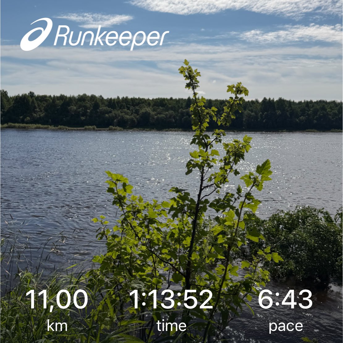 AnglyRun's tweet photo. New week, easy start.
Sunshine and beautiful views along the river today.🌞
#Running #EasyRun #RecoveryRun #NYCMarathon #NatureRunning #RunningLife https://t.co/8i6ufezTHR