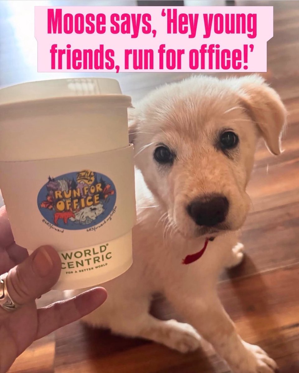 603Forward's tweet photo. Well, this is fun! Nothing beats seeing our #RunForOffice sleeves out in the wild. To everyone who decided to run for office this year: thank you! Putting your name on the ballot takes courage, optimism, + a whole lot of heart. We're inspired by every single person choosing to step up + lead their community. #RunForIt #NextGenLeadership