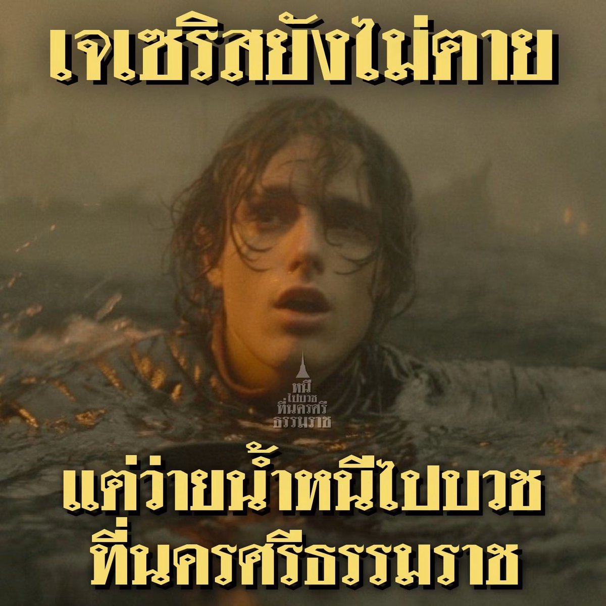 radakuma's tweet photo. #บ้านมังกร https://t.co/tV0JfJ33Wa