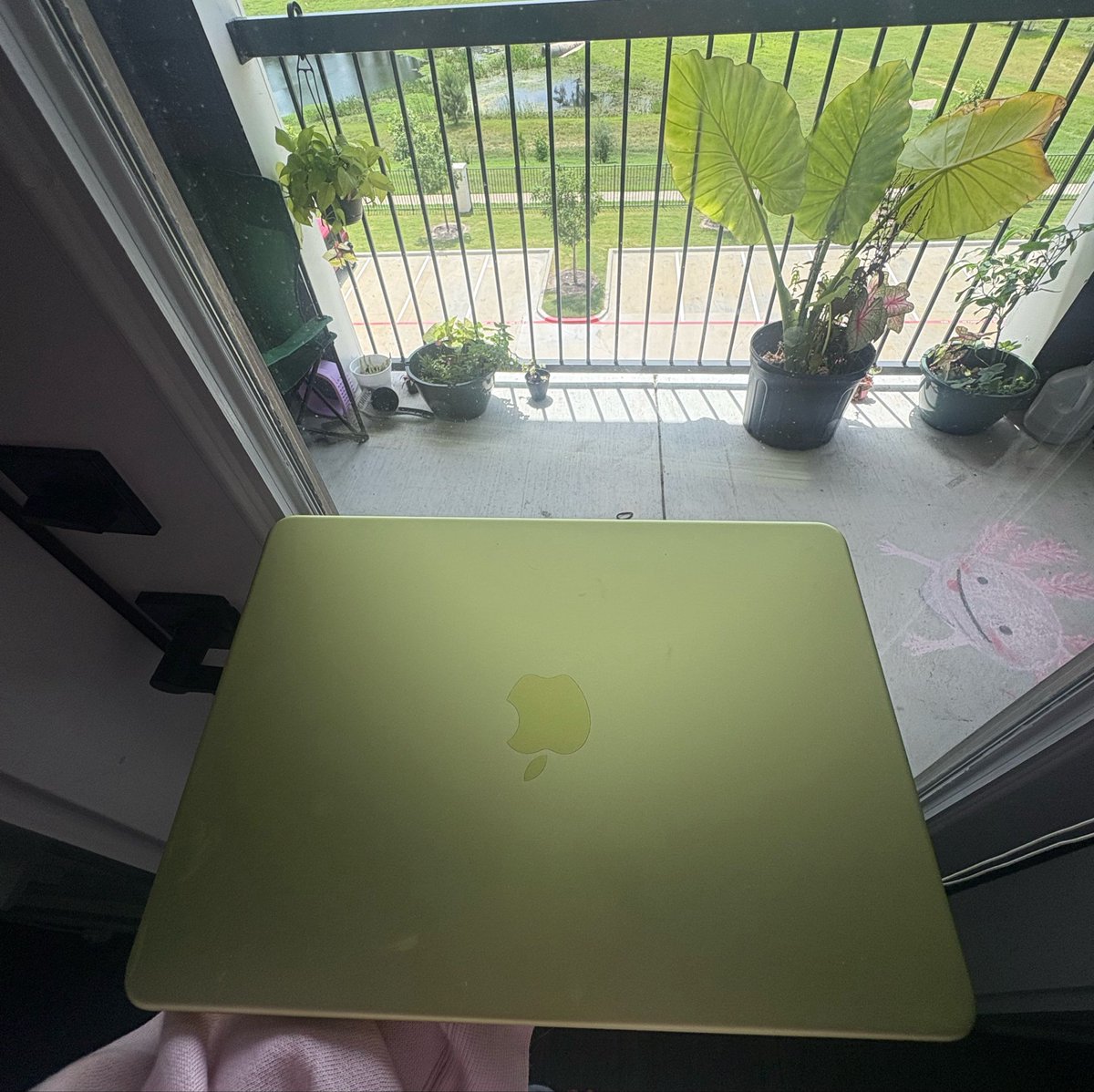 wheresthecig's tweet photo. obsessed!!!!! anddd i can also play https://t.co/kWChG84qtk https://t.co/KsFMazWm2B