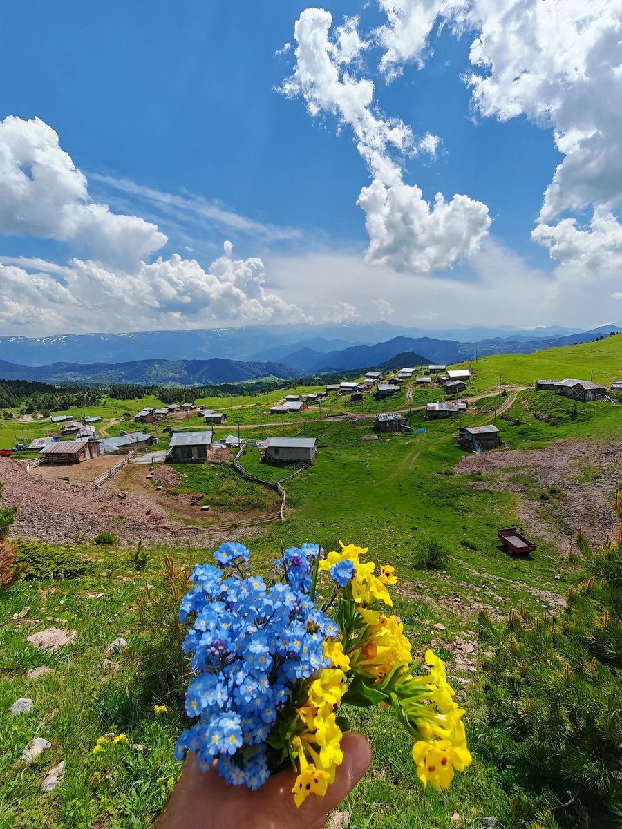 sargon_kral's tweet photo. Artvin / Şavşat yaylarından🚙🏕️🌳
📸 Alıntıdır, fotoğraf için teşekkür ederiz. https://t.co/JmuIssk4Eq