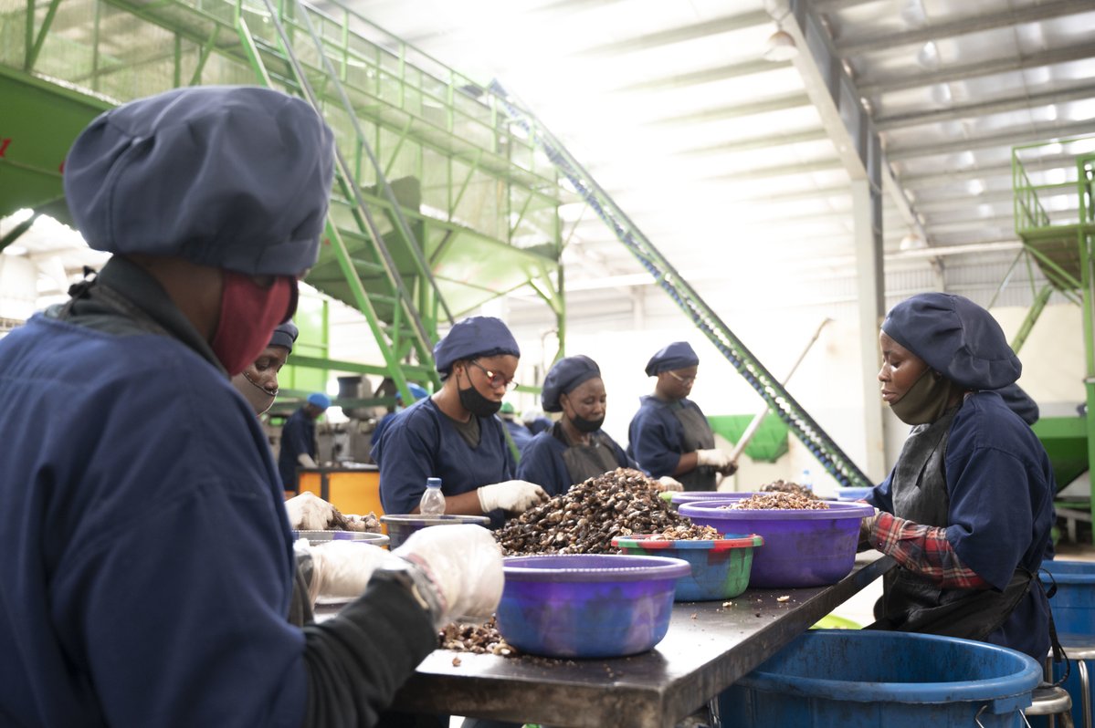 WorldBankAfrica's tweet photo. [NEWS] World Bank scales up support to boost jobs and resilience in Northern Gulf of Guinea. The $163 million new financing will strengthen social cohesion and create over 50,000 jobs in fragile border areas of #Benin, #CôtedIvoire, and #Togo: https://t.co/3lJgrKrYaE https://t.co/70xjR1kos3