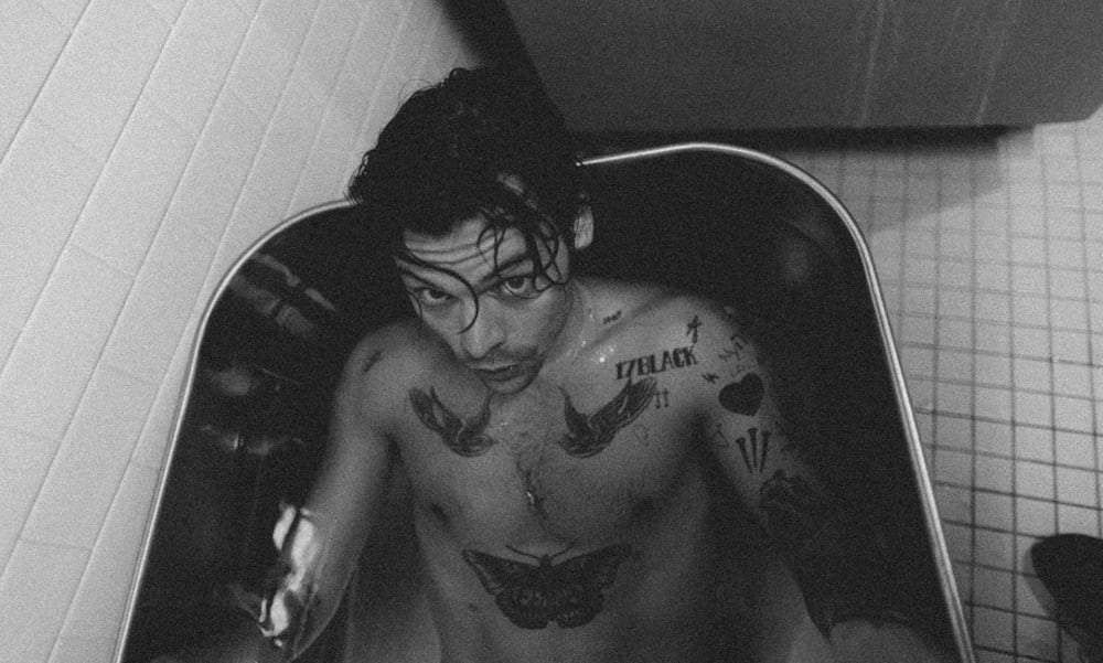 VishnuBathla's tweet photo. Harry Styles in bathtub. thats it. https://t.co/sJizhjUxPK
