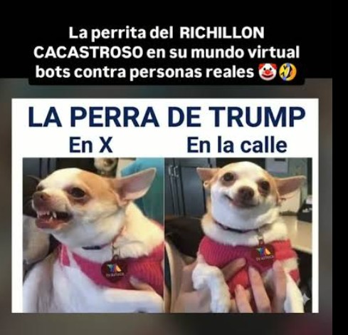 roro_asesino's tweet photo. Que siga el cotorreo y el destrampe con la mascota de los gabachos #LaPerritaDeTrump https://t.co/ByJhVEhuJz