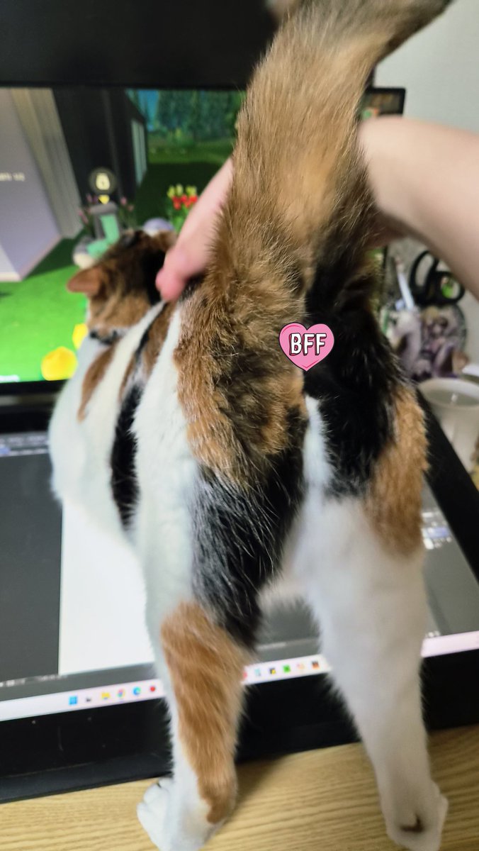 mabi_ws's tweet photo. 여러분은 갑자기 탐라에 고양이 x꼬가 올라오는 경험을 하신적이 있습니까.

이제 있으실 겁니다. https://t.co/rvN5V7ItVp