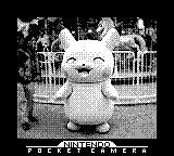 4IF_pokemon's tweet photo. ポケパークカントー楽しかった✨ https://t.co/zx3ad8MKaP