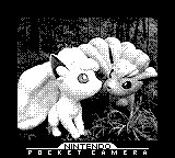 4IF_pokemon's tweet photo. ポケパークカントー楽しかった✨ https://t.co/zx3ad8MKaP