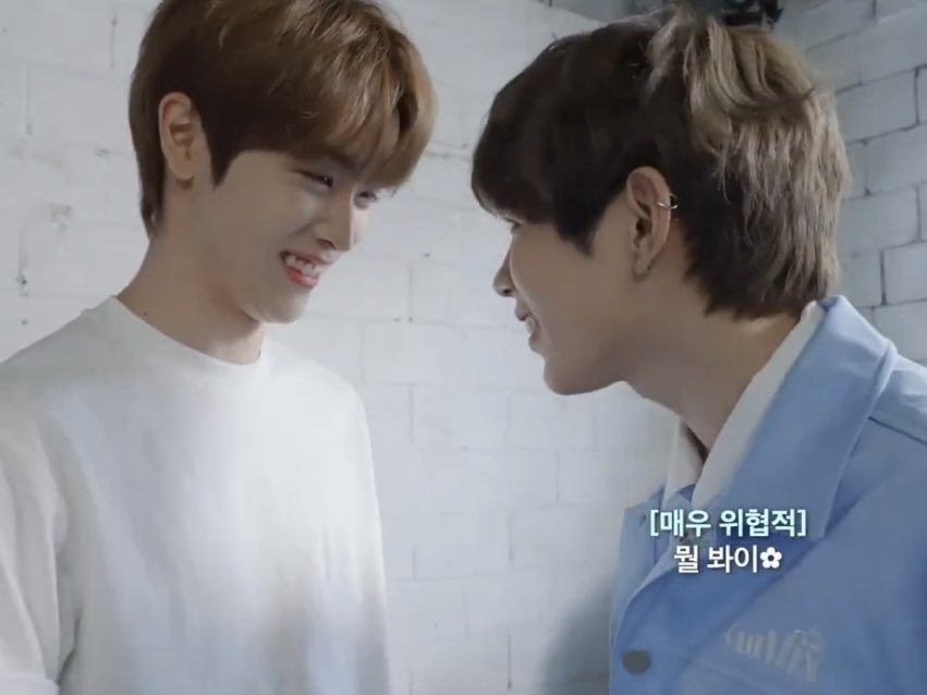 clean_sungsho's tweet photo. 맨날이러고놀고잇음 https://t.co/BioeepfmdE