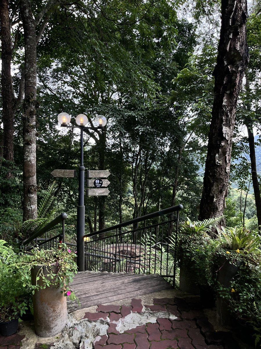 Wiphada23412Sri's tweet photo. ใครมาเที่ยวเชียงใหม่  แวะไปคาเฟ่ที่นี่ได้นะคะ📍 First Valley Coffee Estate ตำบลเทพเสด็จ แถวดอยสะเก็ดค่ะ  มาช่วงปลายฝนต้นหนาวอากาศข้างบนคือเลิศ มีหมอก อากาศเย็นแน่นอน ไปกี่รอบก็ฮีลใจสุดๆ 10/10    ปล.มีทางโค้งชันนิดนึง😁 

#เชียงใหม่ #ที่เที่ยว #ธรรมชาติ #คาเฟ่เชียงใหม่ https://t.co/SSPGaMA8aU