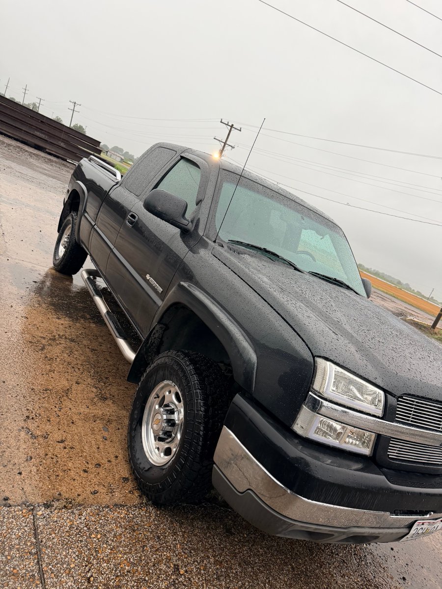 BeauBeaugray's tweet photo. Looks good wet.   Almost 24 years old https://t.co/EjvEUdRy6c