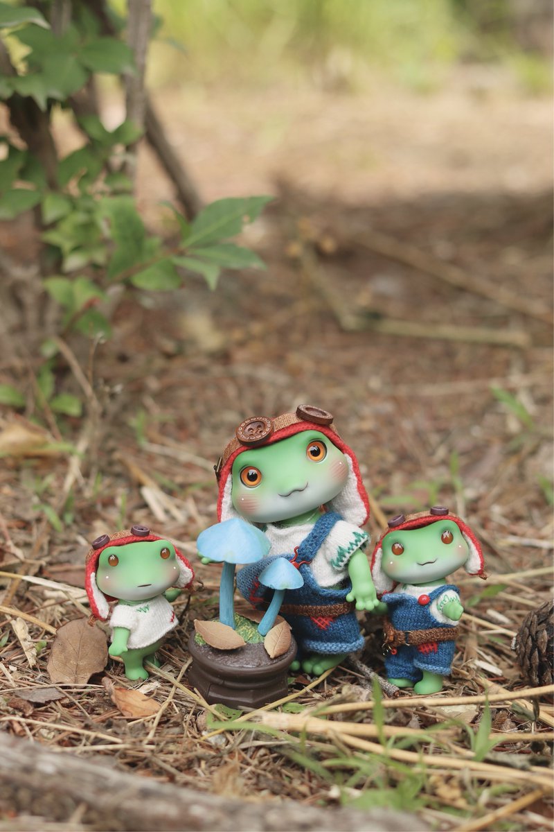 pipos カエル ドール Coming Soon🐸🐸🐸 カエルの冒険者たちと過ごす夏。🐸🌳 개구리 모험가