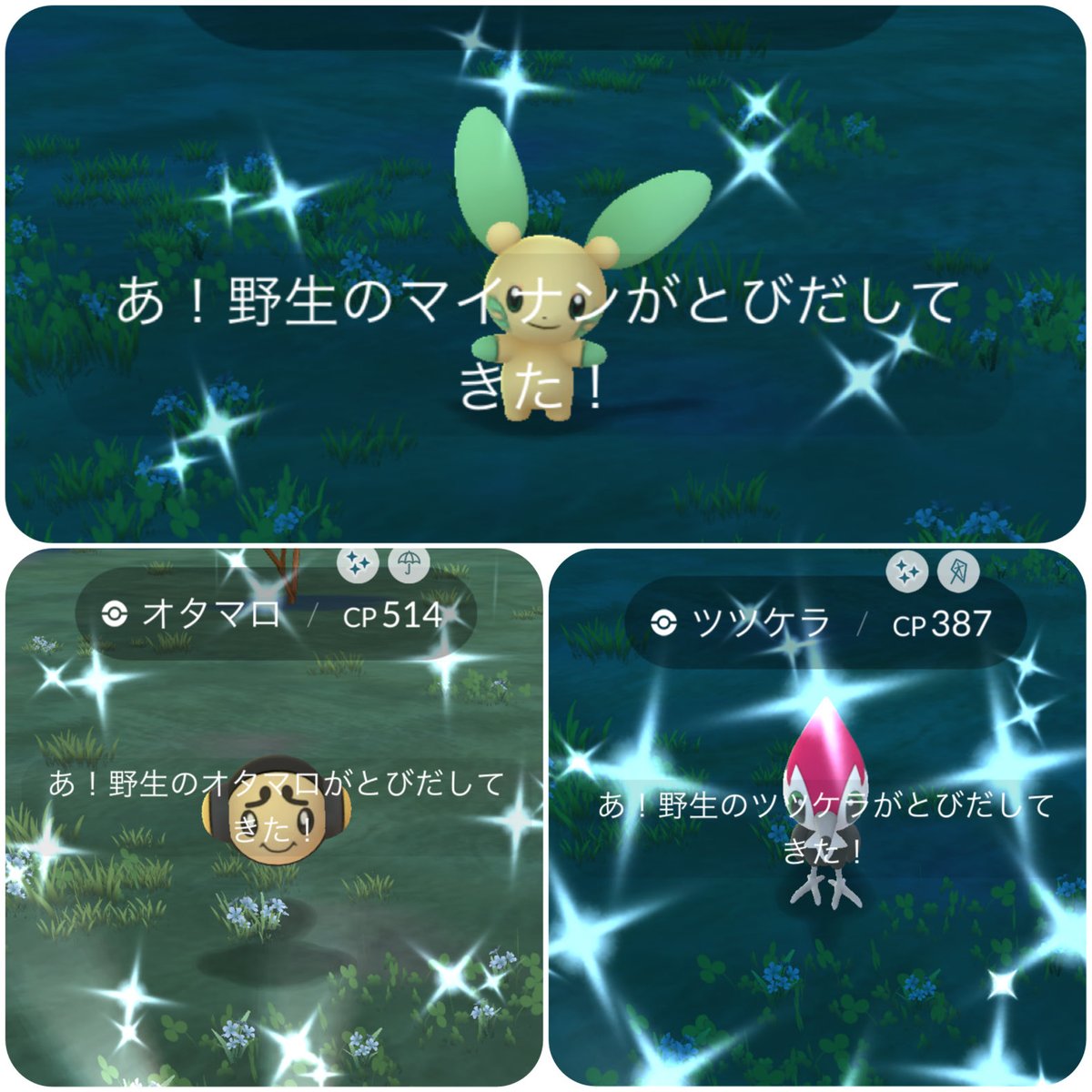 kittyomu333's tweet photo. 昨日から今日にかけて調子いい気がする。
#ポケモンGO #PokemonGO https://t.co/KgaH3uI4IX