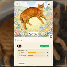 valuetainment's tweet photo. NEW: A new Pokemon Go like game called CatchCat lets you photograph real street cats and turn them into collectible cards that you can trade and battle.
The servers have already crashed due to overwhelming demand for the app. https://t.co/1Hp8G634Ve