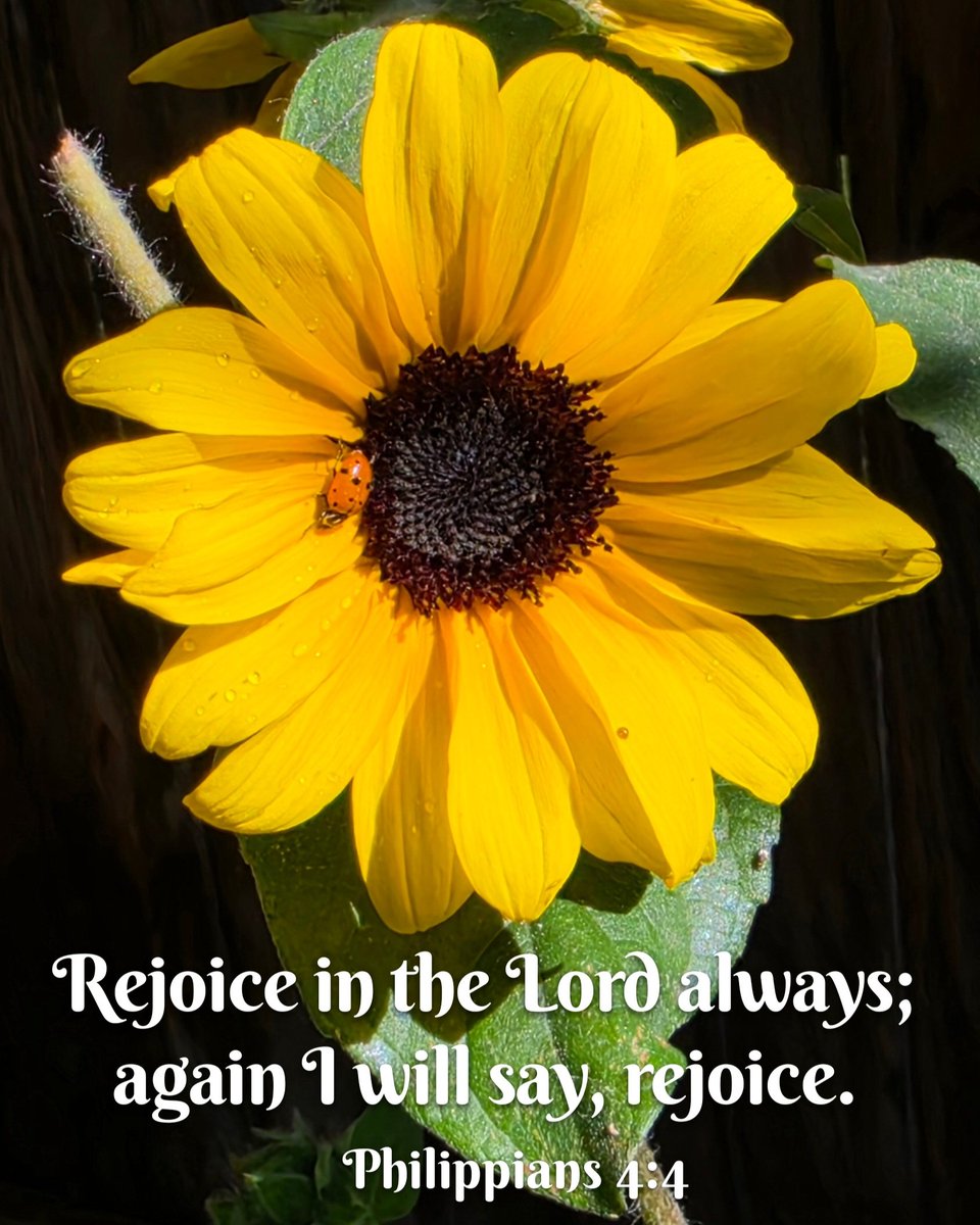 invasion2020's tweet photo. When this world has you down, focus on the Lord! https://t.co/2Kws5g067G