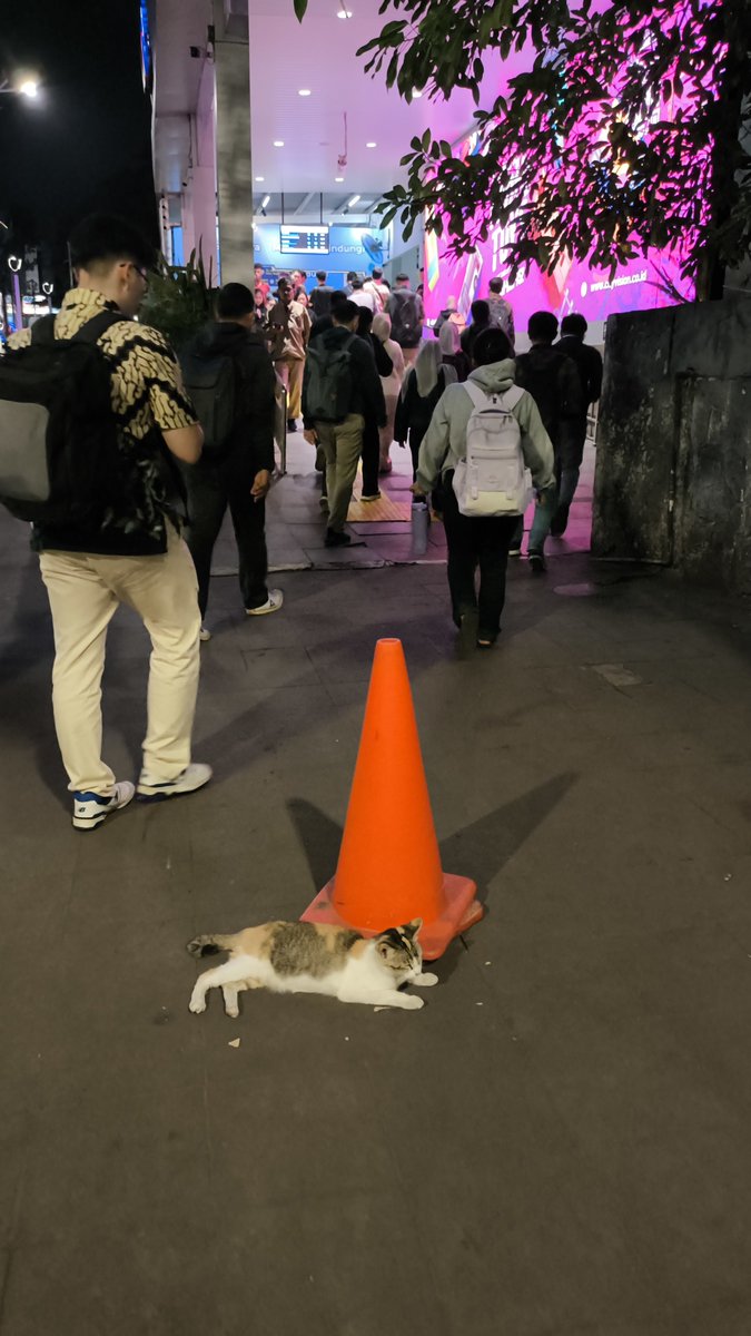 tfunivindonesia's tweet photo. JUST IN: Sebuah cone lalu lintas dipasang di area Stasiun Sudirman agar pejalan kaki tidak menabrak seekor kucing yang sedang tidur disampingnya. https://t.co/BbQMiqTVai