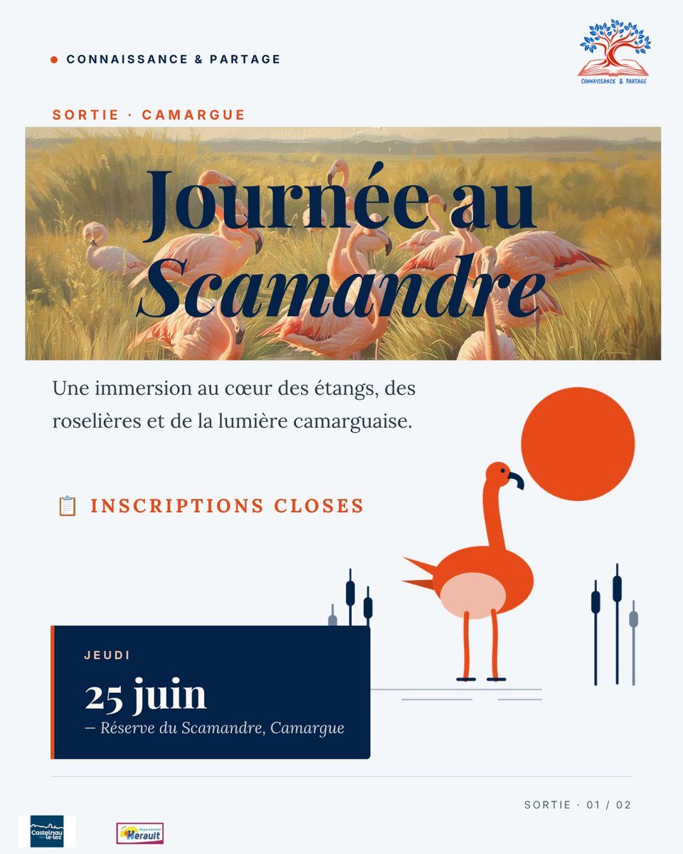 CetPartage's tweet photo. 🌿 Jeudi en Camargue — flamants roses, roselières, découverte guidée à la Réserve du Scamandre.
Les inscriptions sont closes, mais vous pouvez encore nous rejoindre pour la prochaine sortie 👉 https://t.co/VO3iFyDGq6
#Camargue #SortieNature #ConnaissanceEtPartage https://t.co/DfhNPFSPca
