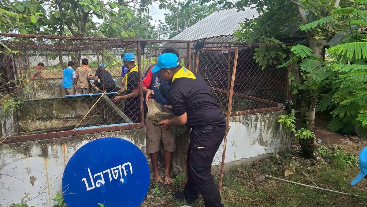 RTARF_PR's tweet photo. หน่วยบัญชาการทหารพัฒนา ร่วมกันทำความสะอาด เก็บกวาดเศษขยะ เศษใบไม้ กิ่งไม้ และปรับปรุงภูมิทัศน์บริเวณสถานศึกษา เพื่อให้เกิดความสะอาด สวยงาม เป็นระเบียบเรียบร้อย ณ โรงเรียนวันเจริญสามัคคี อำเภอปราสาท จังหวัดสุรินทร์
#oneteamทัพไทย
#จิตอาสา
#จิตอาสาพระราชทาน

https://t.co/0LCuvwZ2ap https://t.co/MMyrcoKaOF