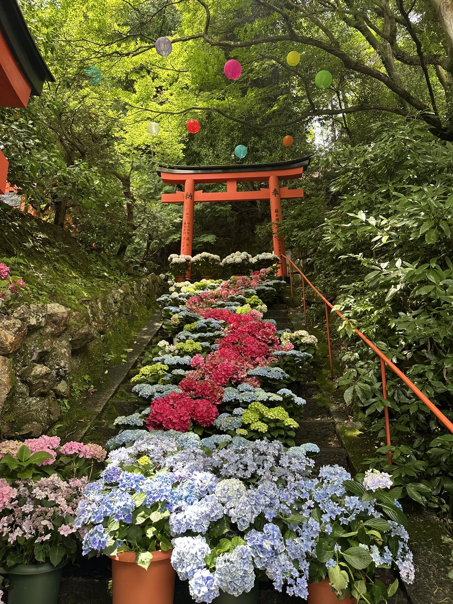 310no2's tweet photo. 京都！ https://t.co/Xbt4wDgkBe